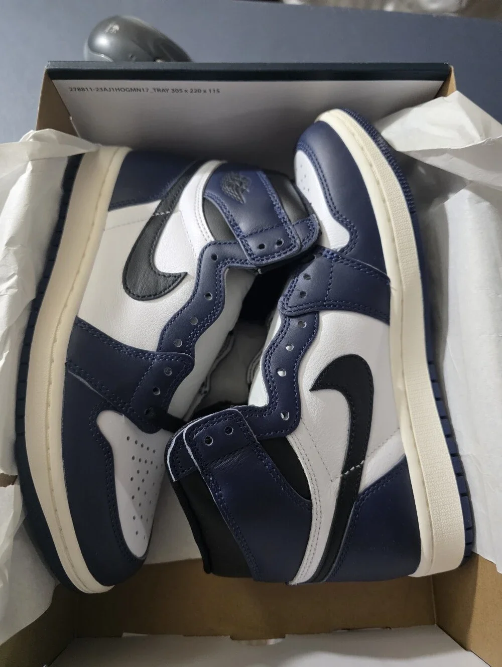 Jordan iconic low